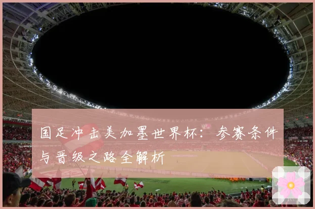 国足冲击美加墨世界杯：参赛条件与晋级之路全解析