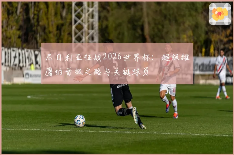 尼日利亚征战2026世界杯：超级雄鹰的晋级之路与关键球员