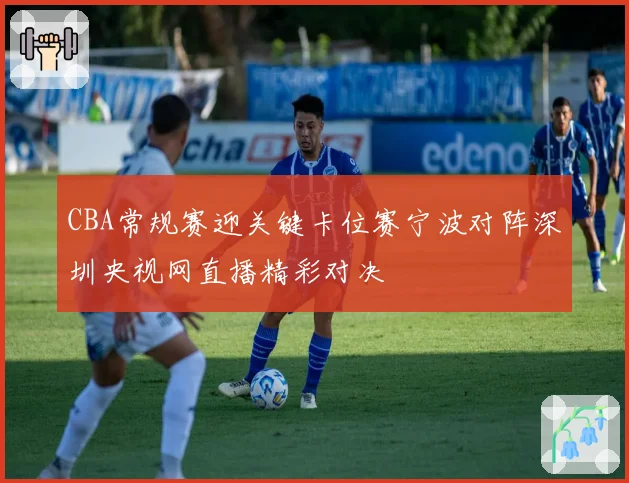CBA常规赛迎关键卡位赛宁波对阵深圳央视网直播精彩对决
