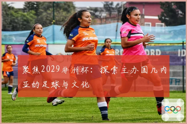 聚焦2029非洲杯：探索主办国几内亚的足球与文化