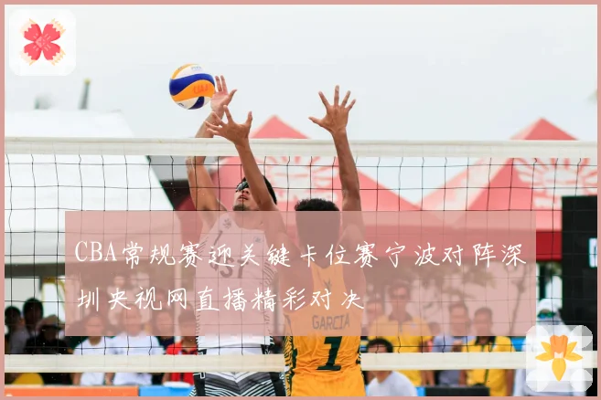 CBA常规赛迎关键卡位赛宁波对阵深圳央视网直播精彩对决